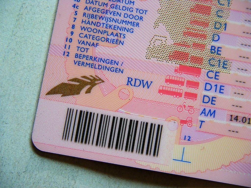 nep rijbewijs